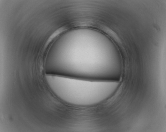 X0000114521226200910190943
