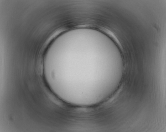 X0000114521227200910190943