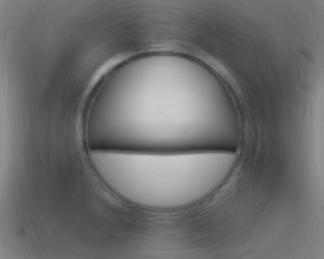 X0000114521230200910190943