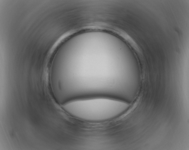 X0000114521232200910190943