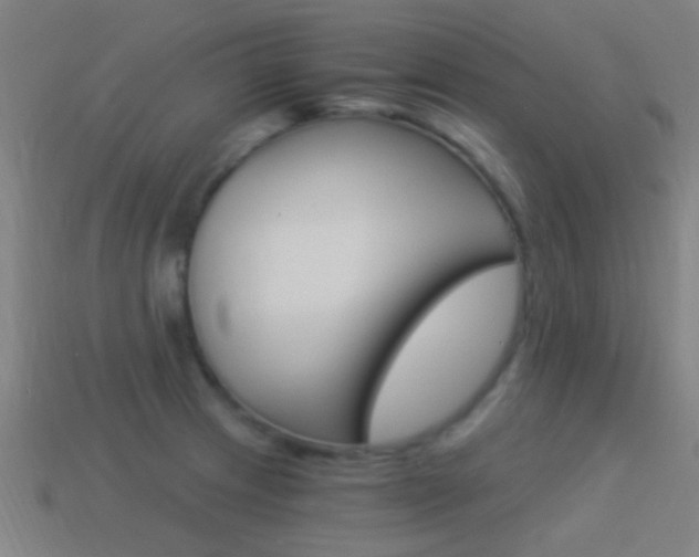 X0000114521233200910190943