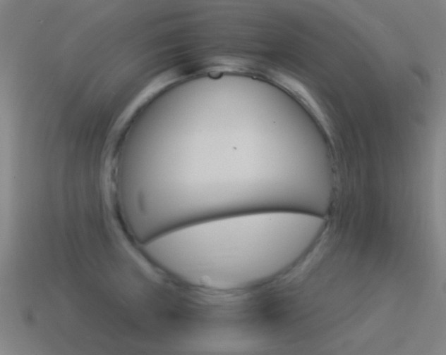 X0000114521235200910190943