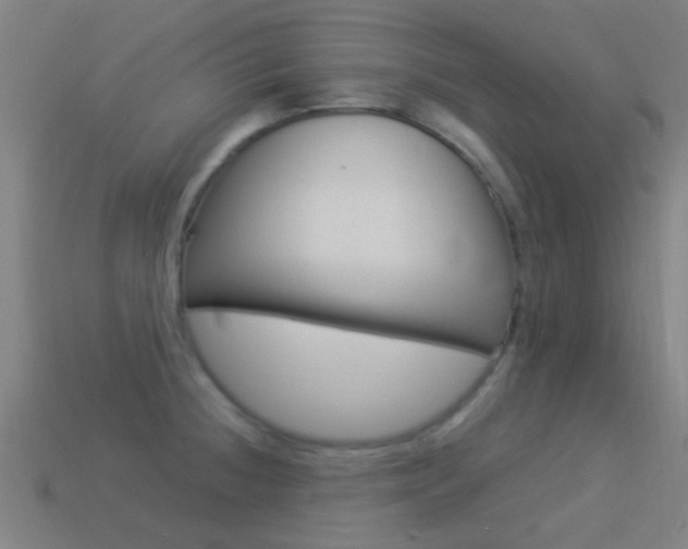X0000114521236200910190943