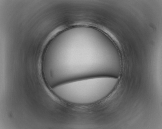 X0000114521237200910190943
