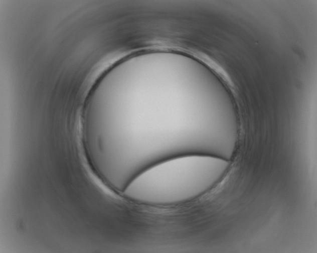 X0000114521239200910190943