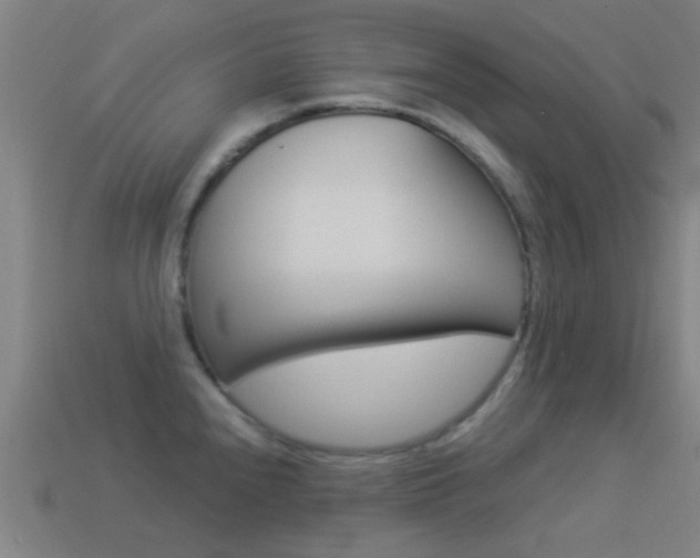 X0000114521240200910190943