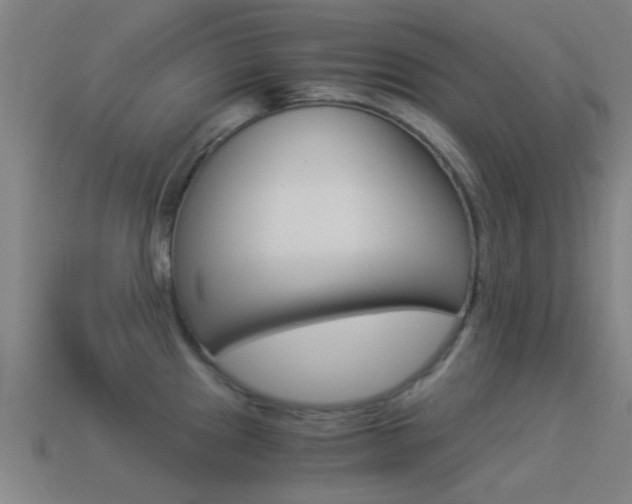 X0000114521241200910190943