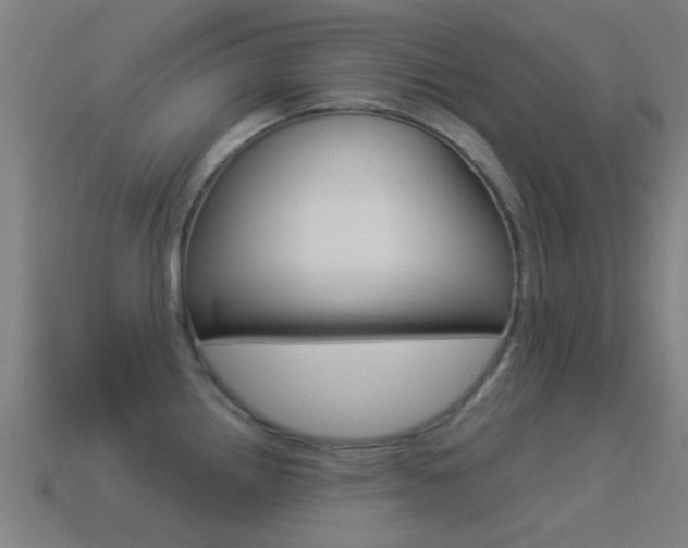 X0000114521242200910190943