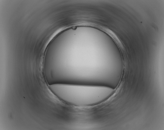 X0000114521244200910190943