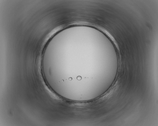 X0000114521245200910190943