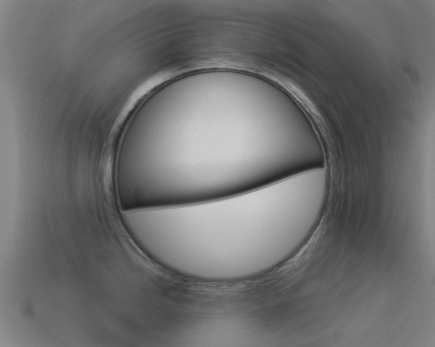 X0000114521246200910190943