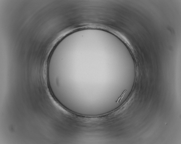 X0000114521247200910190943