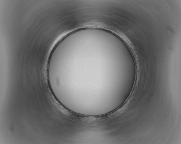 X0000114521248200910190943