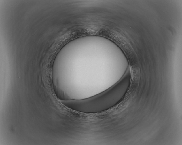 X0000114521249200910190942