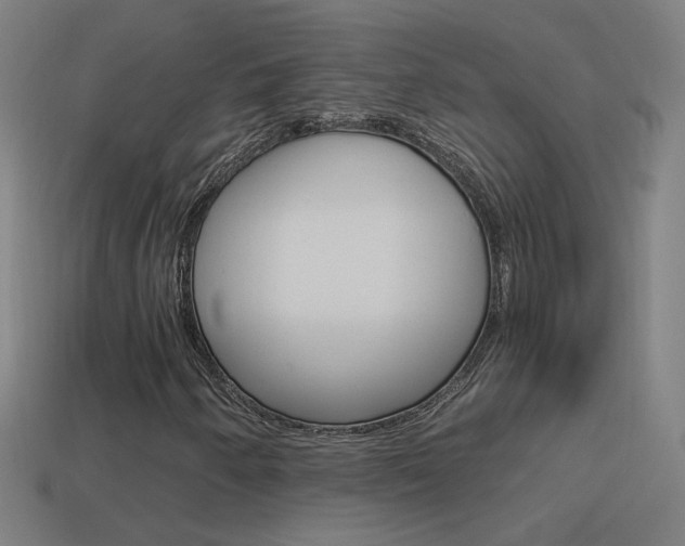 X0000114521250200910190942