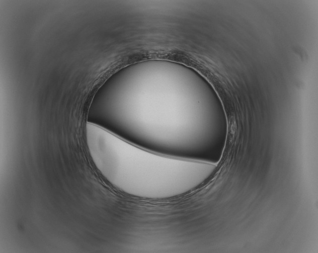 X0000114521252200910190942