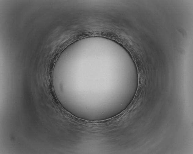 X0000114521253200910190942