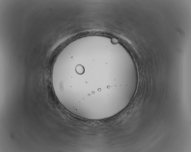 X0000114521255200910190942