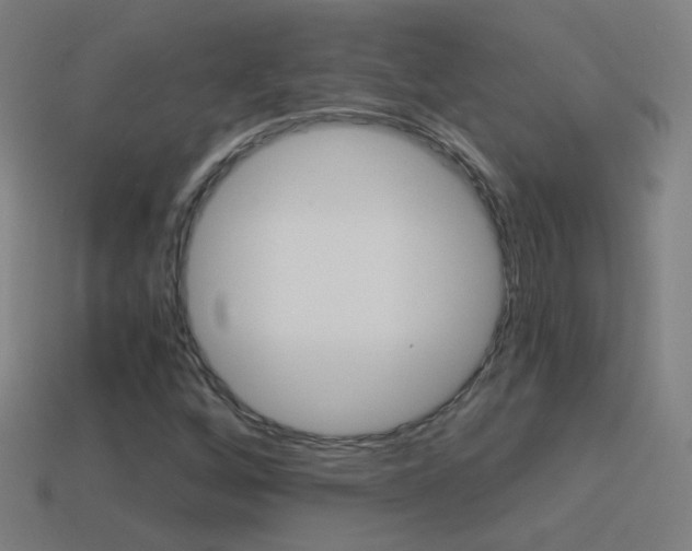 X0000114521256200910190942