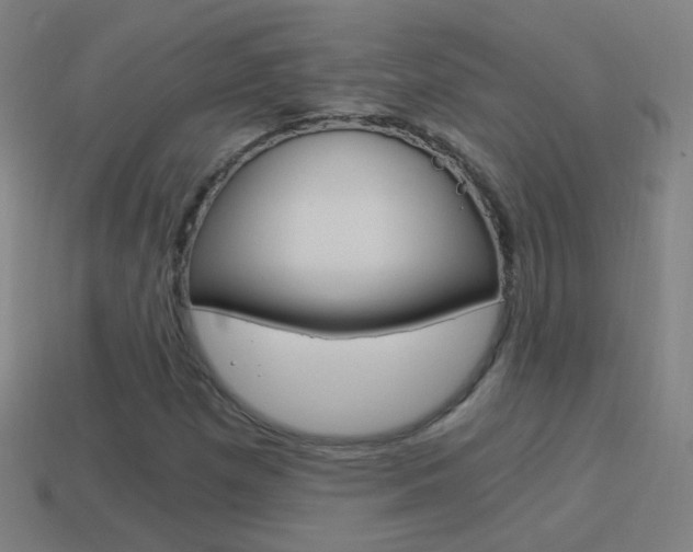 X0000114521257200910190942