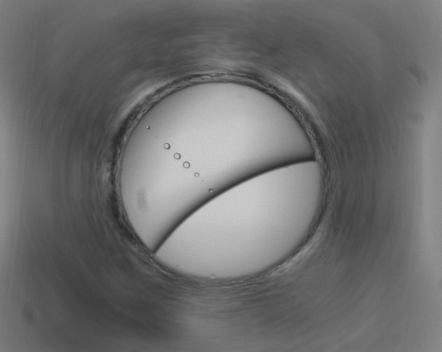 X0000114521259200910190942