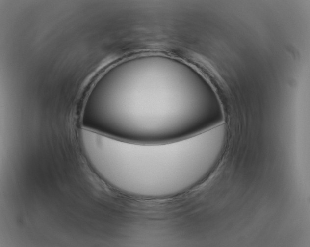 X0000114521260200910190942