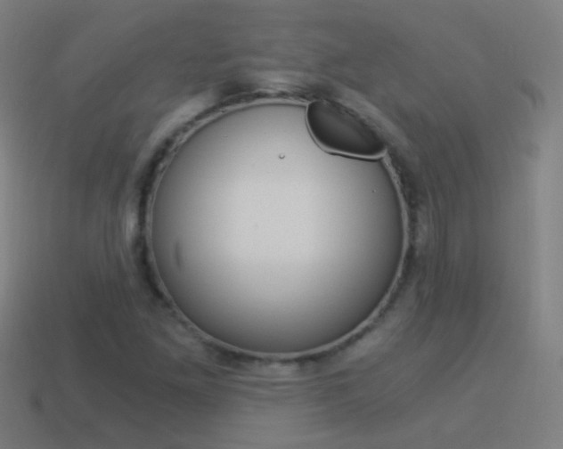 X0000114521261200910190942