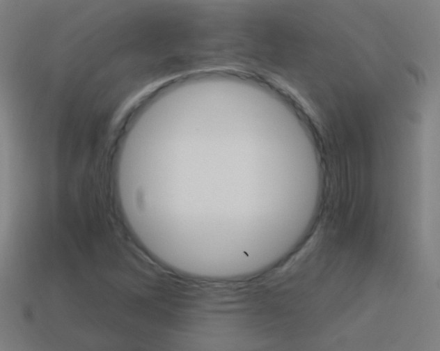 X0000114521262200910190942