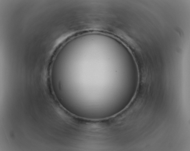 X0000114521264200910190942