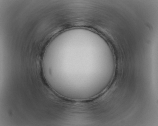 X0000114521265200910190942