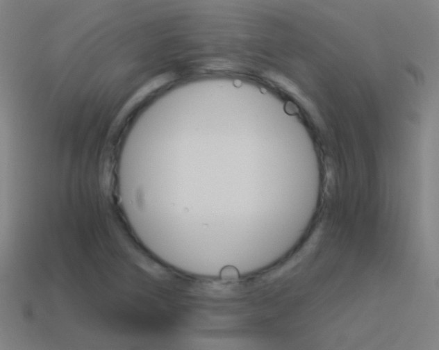X0000114521266200910190942