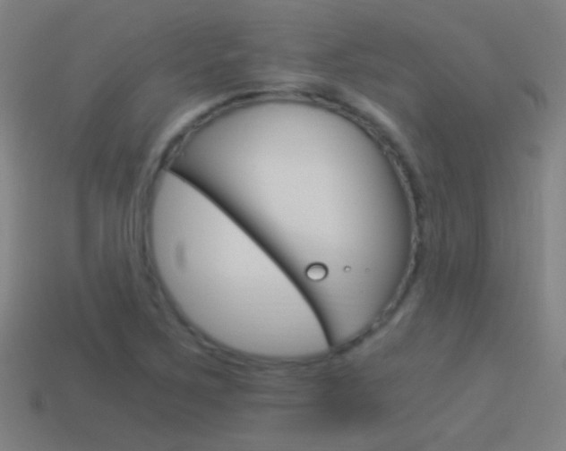 X0000114521267200910190942