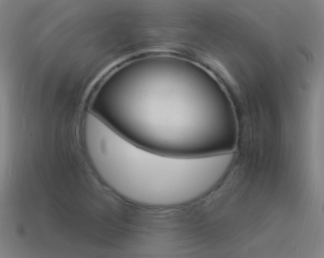 X0000114521268200910190942
