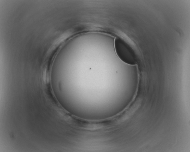 X0000114521269200910190942