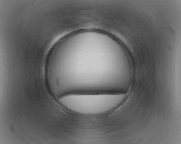 X0000114521270200910190942