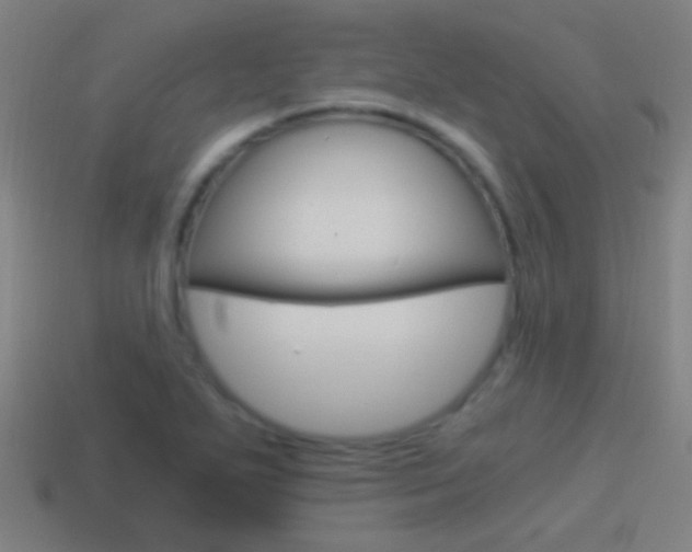 X0000114521271200910190942
