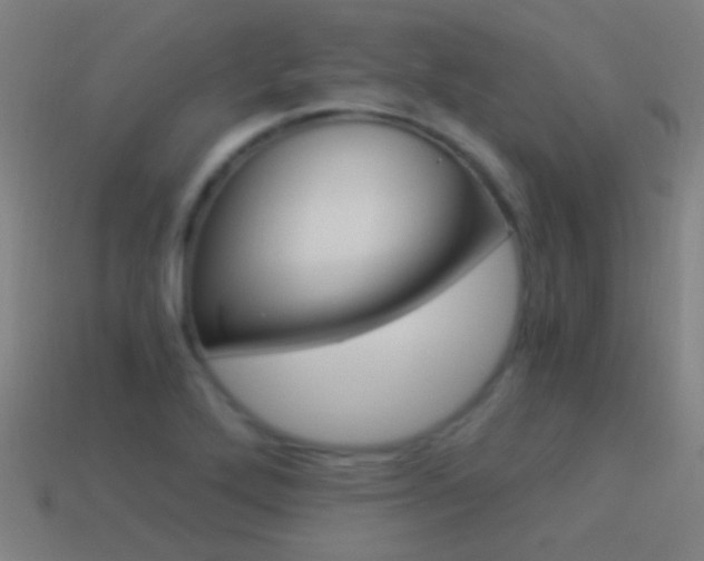X0000114521272200910190942