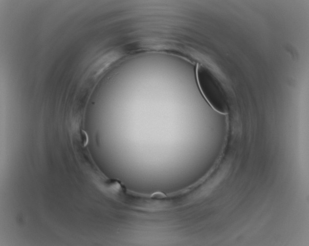 X0000114521273200910190942