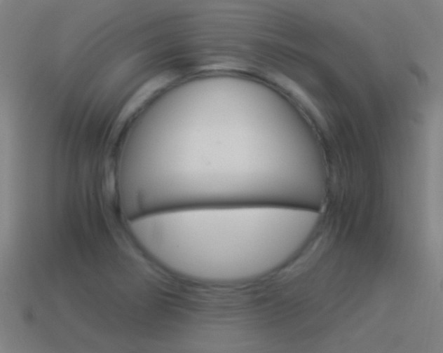 X0000114521274200910190942