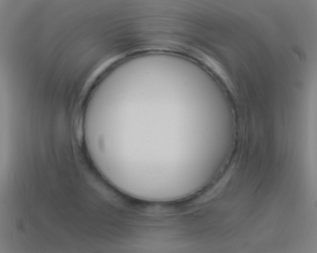 X0000114521275200910190942