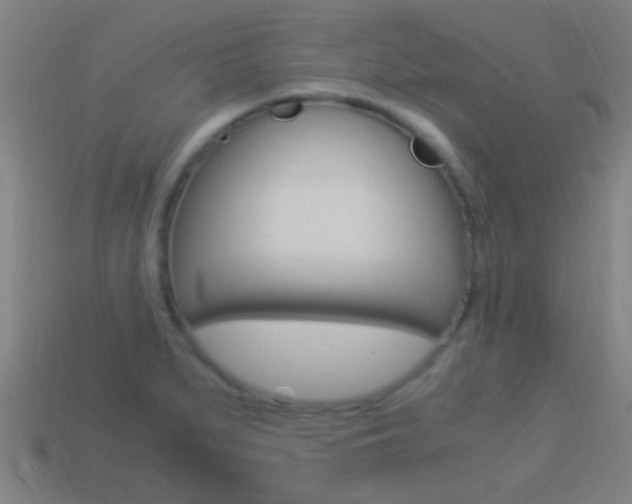 X0000114521279200910190942