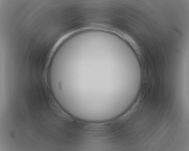 X0000114521280200910190942