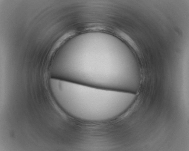 X0000114521282200910190942