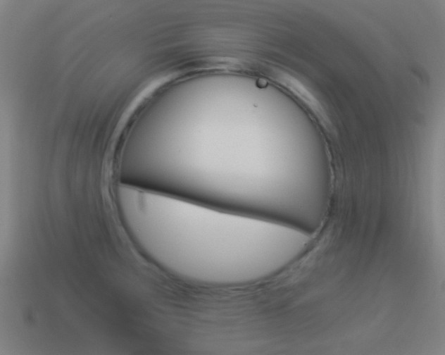 X0000114521283200910190942