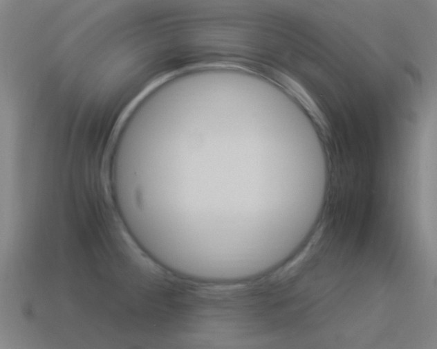 X0000114521284200910190942