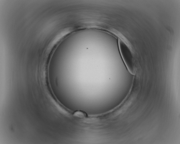 X0000114521285200910190942