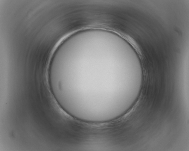 X0000114521288200910190942