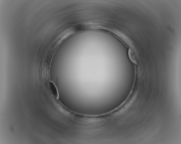 X0000114521289200910190942