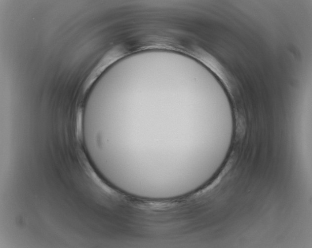 X0000114521290200910190942