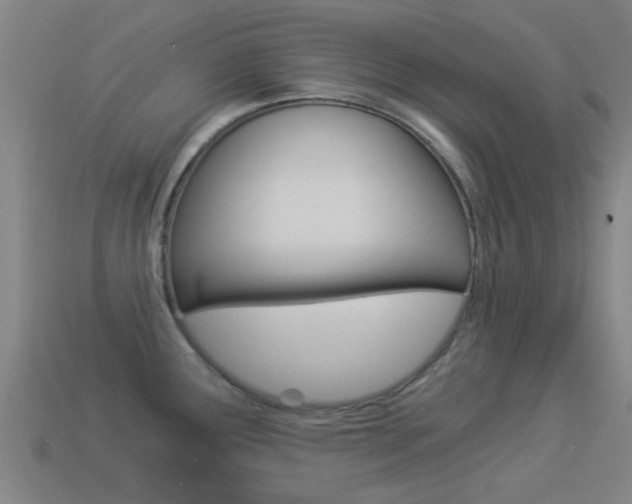 X0000114521291200910190942